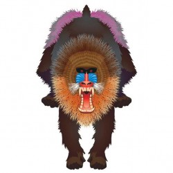 Latawiec BRAINSTORM - WNS Rainforest 44x28" Nylon Mandrill (WYPRZEDAŻ)