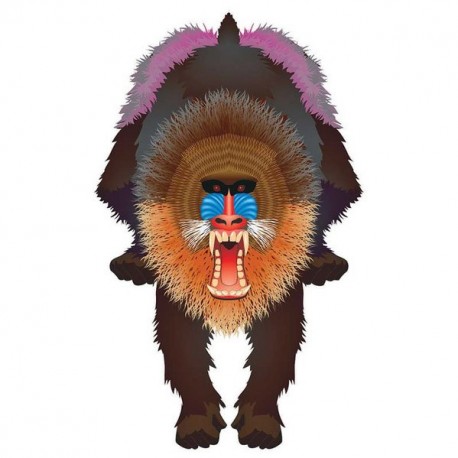 Latawiec BRAINSTORM - WNS Rainforest 44x28" Nylon Mandrill (WYPRZEDAŻ)