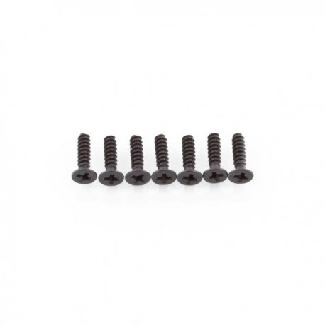 SST 09143 Cap head screw 2,5*10 12P