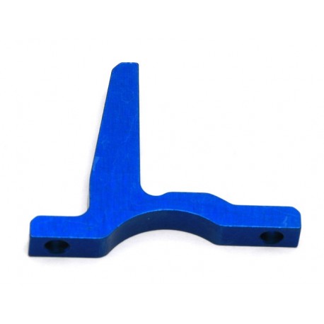 31310 - Team Associated