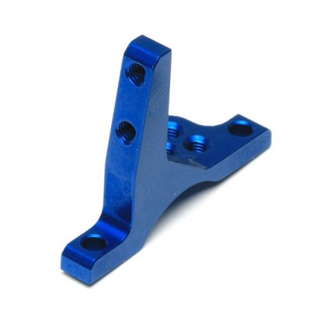 31373 - Team Associated