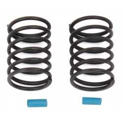 31717 - FT Blue Springs, 15.9 lb - Team Associated