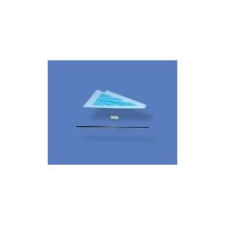 HM004-Z-23 Tail Knighthead (WYPRZEDAŻ)