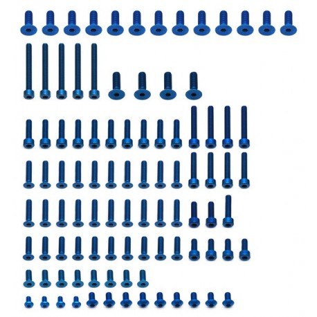 89562 - Team Associated