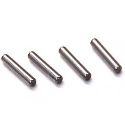 Trzpienie 2*10 4P - 86054