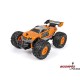 NINCORACERS Marshal 1:16 2.4GHz RTR