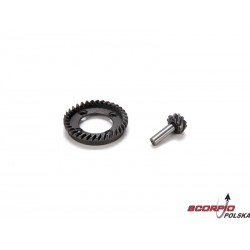 Rear Ring & Pinion Gear Set: 10-T