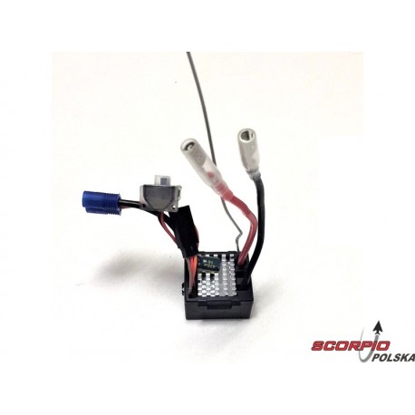 Spetkrum odbiornik SRX210 FHSS z regulatorem