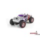 NINCORACERS Bulldog 1:24 2.4GHz RTR