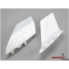 Opterra - winglet (2)