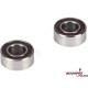 5x10x4mm HD Bearings (2)