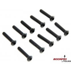 Axial śruba imbus M3x16mm BH (10)