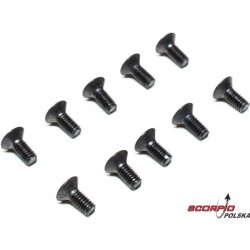 Axial śruba imbus M2.5x6mm FH (10)