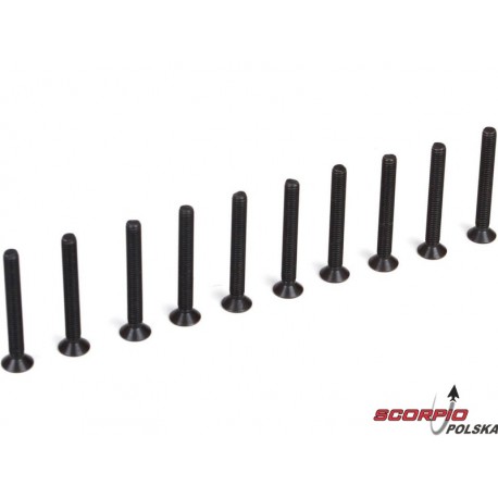 Śruba FH M3 x 25mm (10)