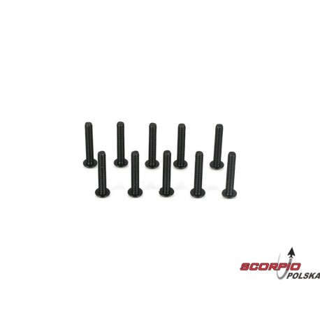 Button Head Screws M3 x 18mm (10)