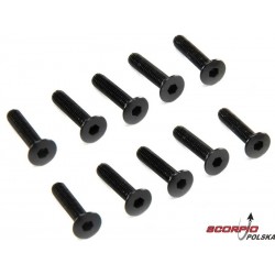 Axial śruba imbus M3x14mm FH (10)