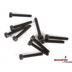 Axial śruba imbus CH M2.5x16mm (10)