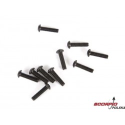 Axial śruba imbus BH M2.5x10mm (10)