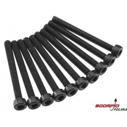 Axial AXA091  Śruba CH M3x30mm czarna (10)