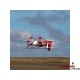 E-flite Ultimate 3D 0.95m PNP