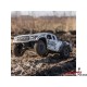 Losi Ford Raptor Baja Rey V2 1:10 4WD RTR Black Rhino