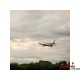 Hangar 9 P-51D Mustang 20cc ARF