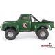 Axial SCX10 II Ford F-100 1955 1:10 4WD RTR zielony