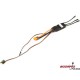 Spektrum Smart regulator Avian 45A BL 3S-6S