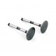 SAITO  18046 Valve (In & Ex) pair - para zaworów