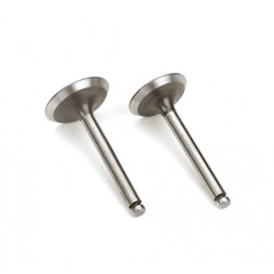 SAITO  125A46 Valve (in & out) pair - para zaworów