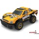 NINCORACERS Radical 1:14 2.4GHz RTR