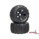 Arrma Kraton 1:5 4WD EXtreme Bash Roller