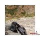 Axial Capra 1.9 4WD 1:10 Kit