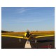 E-flite T-28 Trojan 2.0m Smart SAFE Select BNF Basic