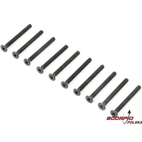 Śruba FH M3 x 30mm (10)