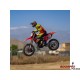 Losi Motocykl Promoto-MX 1:4 RTR, FXR