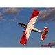 E-flite Turbo Timber SWS 2.0m ARF