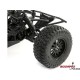 Losi 22S SCT 1:10 Kicker RTR