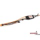 Spektrum Smart regulator trójfazowy Avian Lite 85A 3-6S IC3