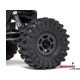 Axial Capra 1.9 4Ws 1:10 Rtr Pomarańczowy