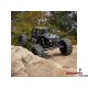 Axial Capra 1.9 4Ws 1:10 Rtr Pomarańczowy