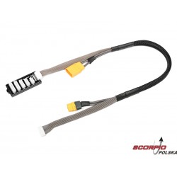 Kabel Ładowania Pro - Xt-60 / Xt-90 / Xh 2-6S