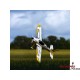 E-Flite Sportix 1.1M Pnp