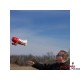 E-Flite Gee Bee R-2 0.51M As3X Safe Select Bnf Basic