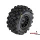 Pro-Line Koło 1:16, Opona Badlands Mx, Felga Czarna H12 Mm (4): Mojave Grom