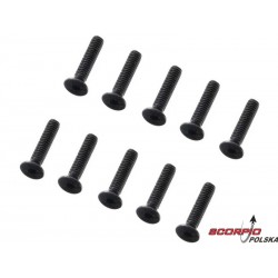 Axial Śruba Imbusowa M2X12 Mm Fh (10)
