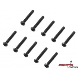 Axial Śruba Imbusowa M2,5X14 Mm Bh (10)