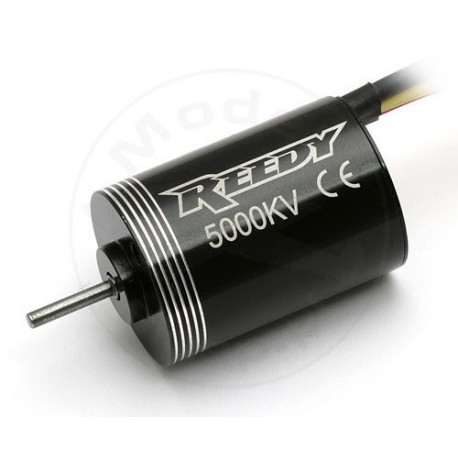 Silnik Reedy Micro Brushless 5000 kV ( 910)